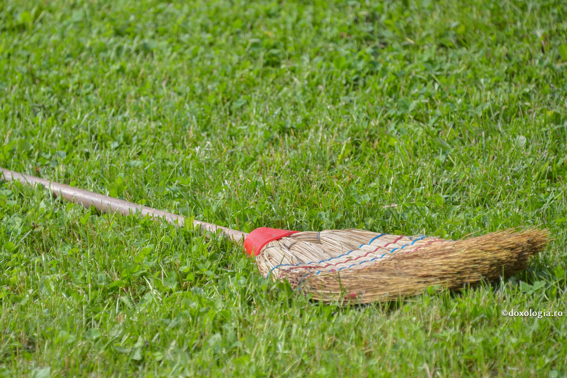 Cine își face rânduială în minte își face rânduială în viață