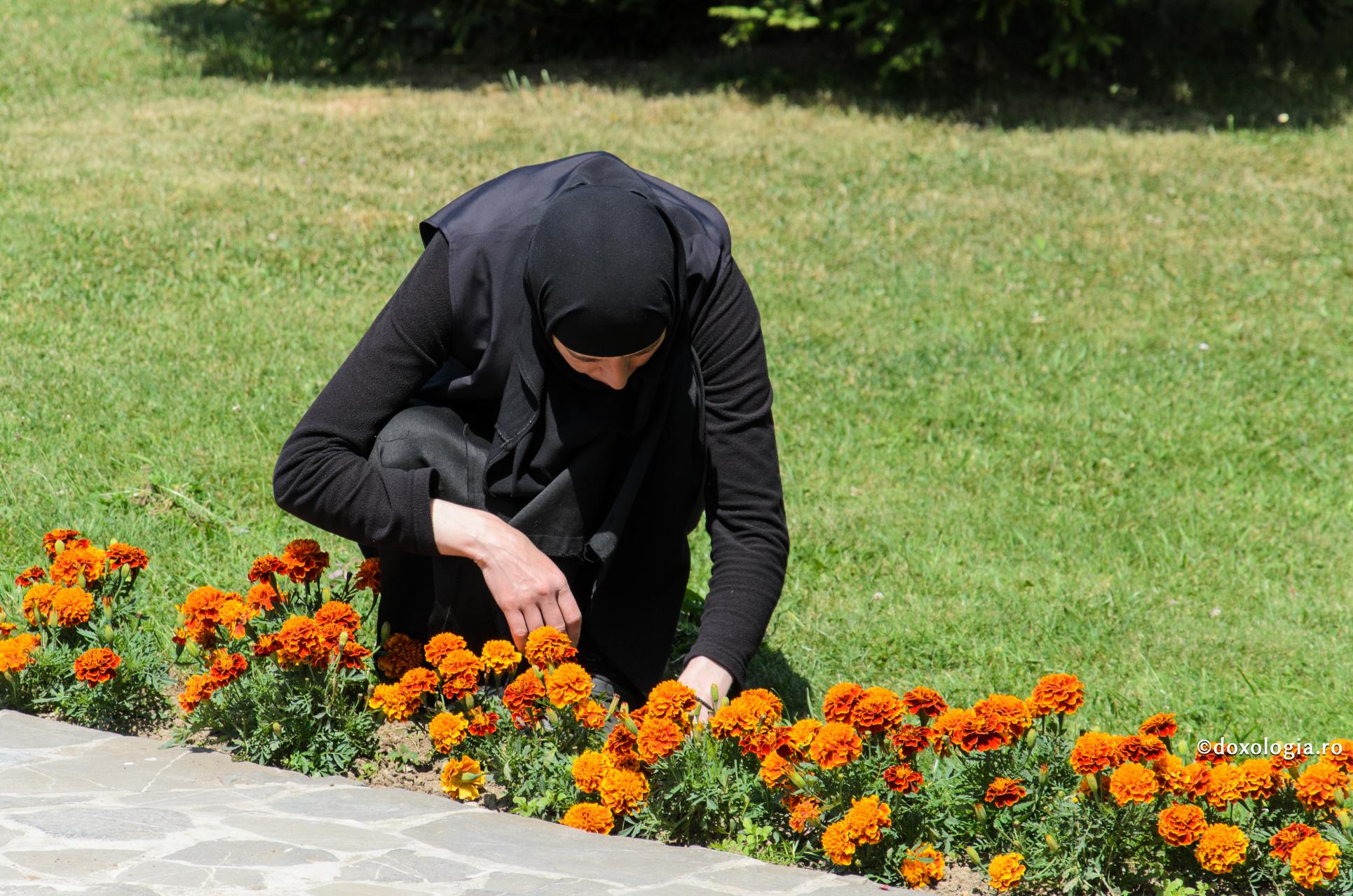 „Micșorează-te pe tine întru toate”