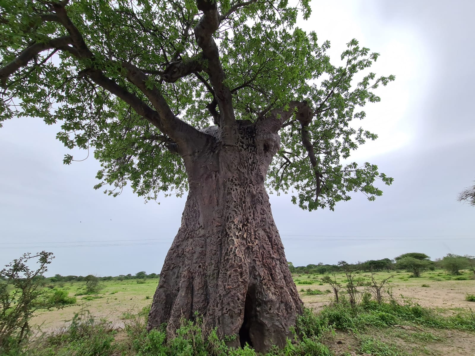 Vizită în parohiile de la Mafuloto şi Mlowa