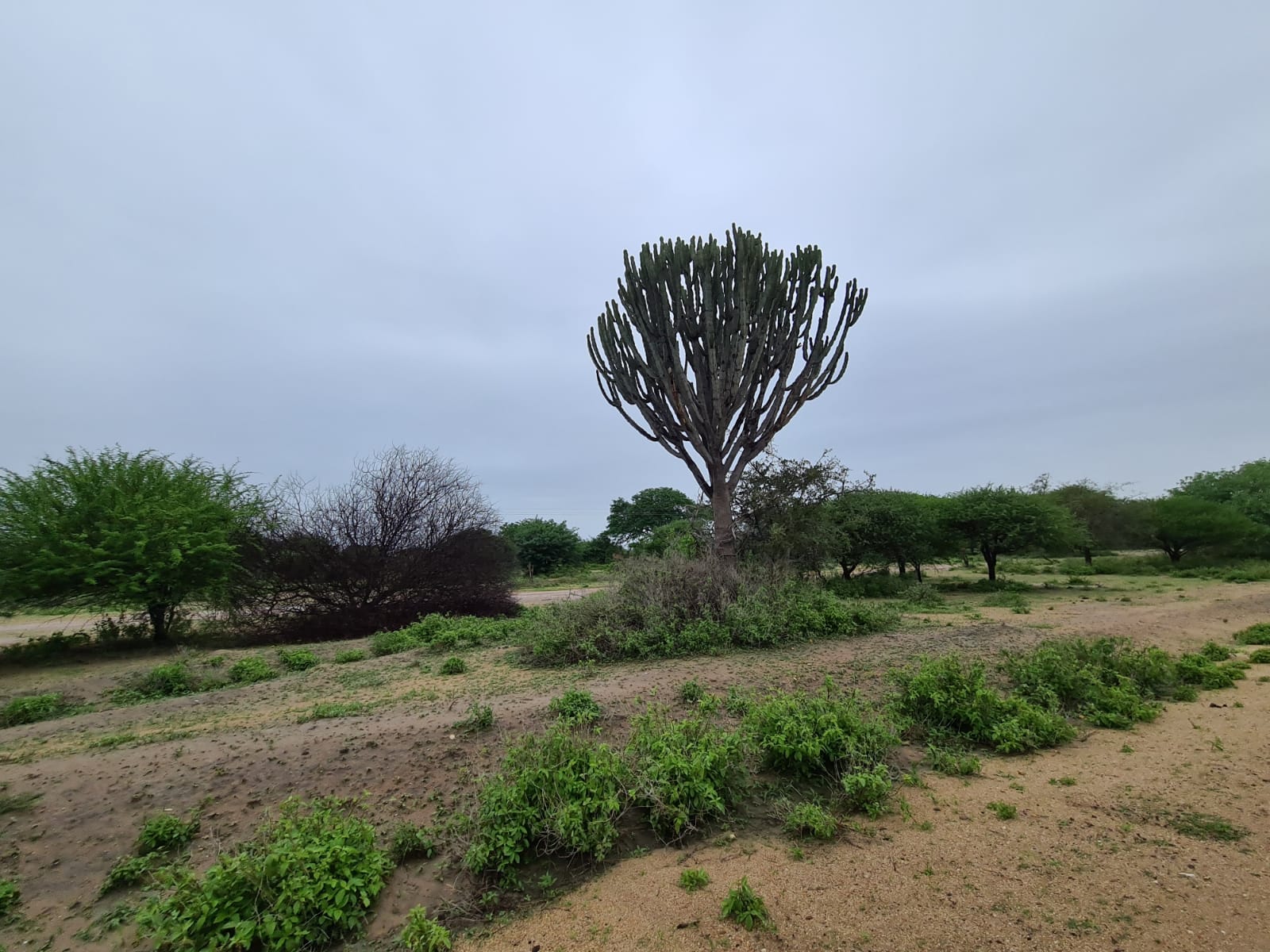 Vizită în parohiile de la Mafuloto şi Mlowa