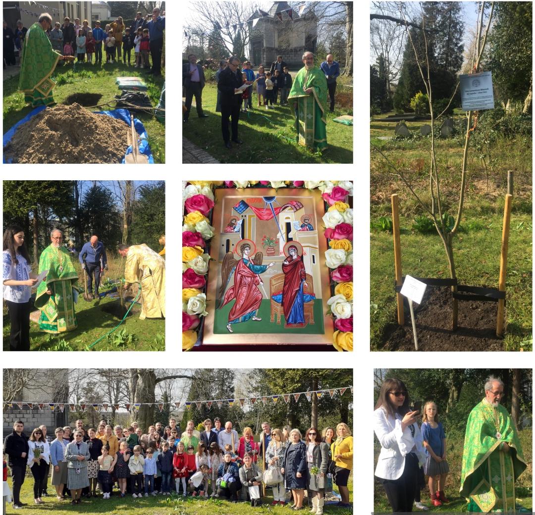 Parohia „Sfântul Grigorie Teologul” din Schiedam-Rotterdam este prima şi unica parohie  din diaspora care are un puiet descendent din Teiul lui Eminescu