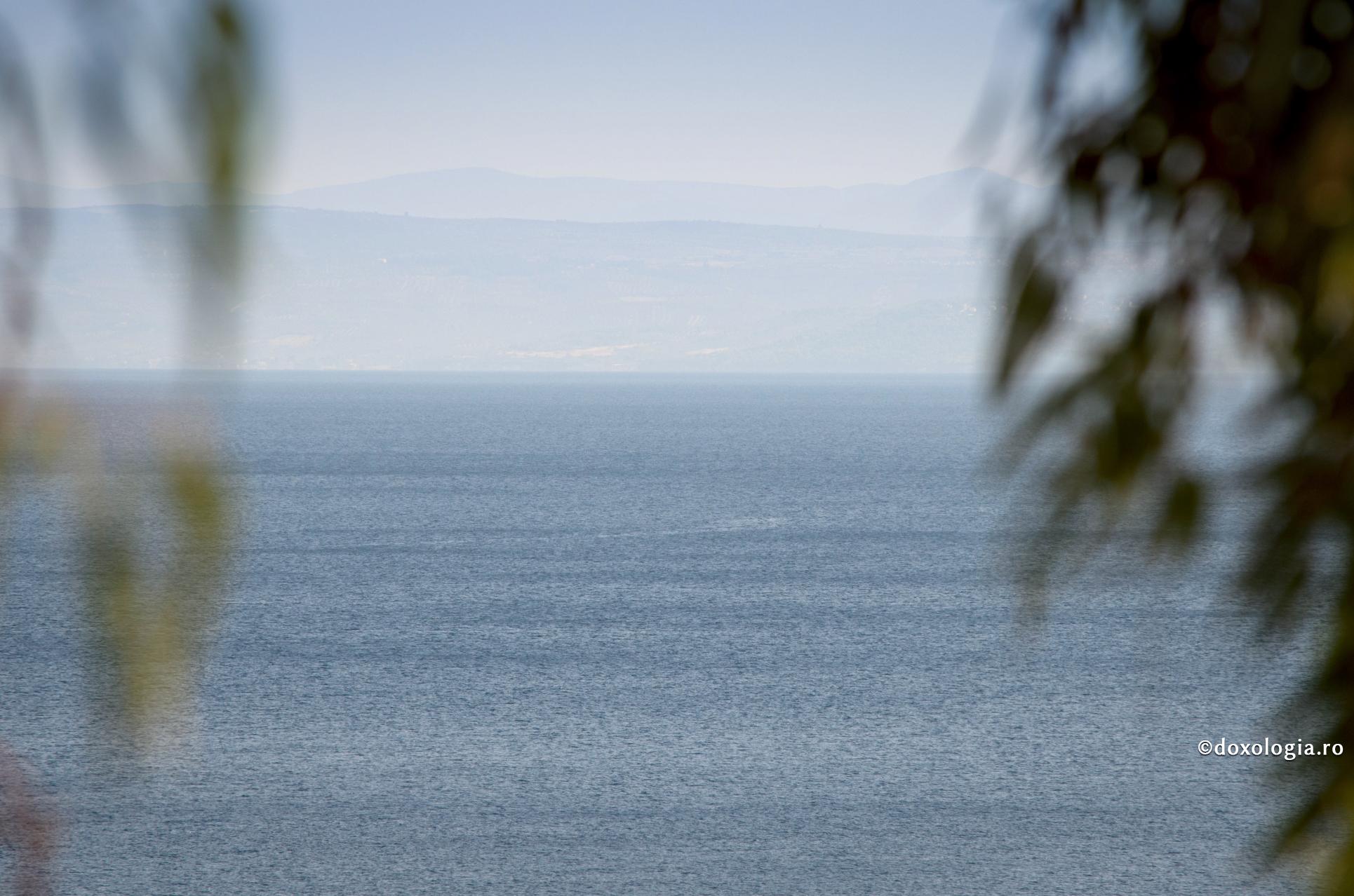 Dumnezeu se odihnește în inimile blânde