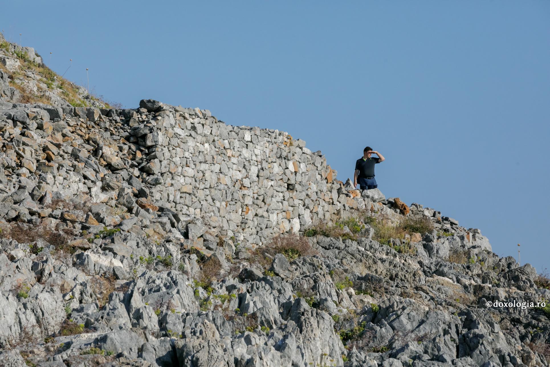 Eroarea în actualitate