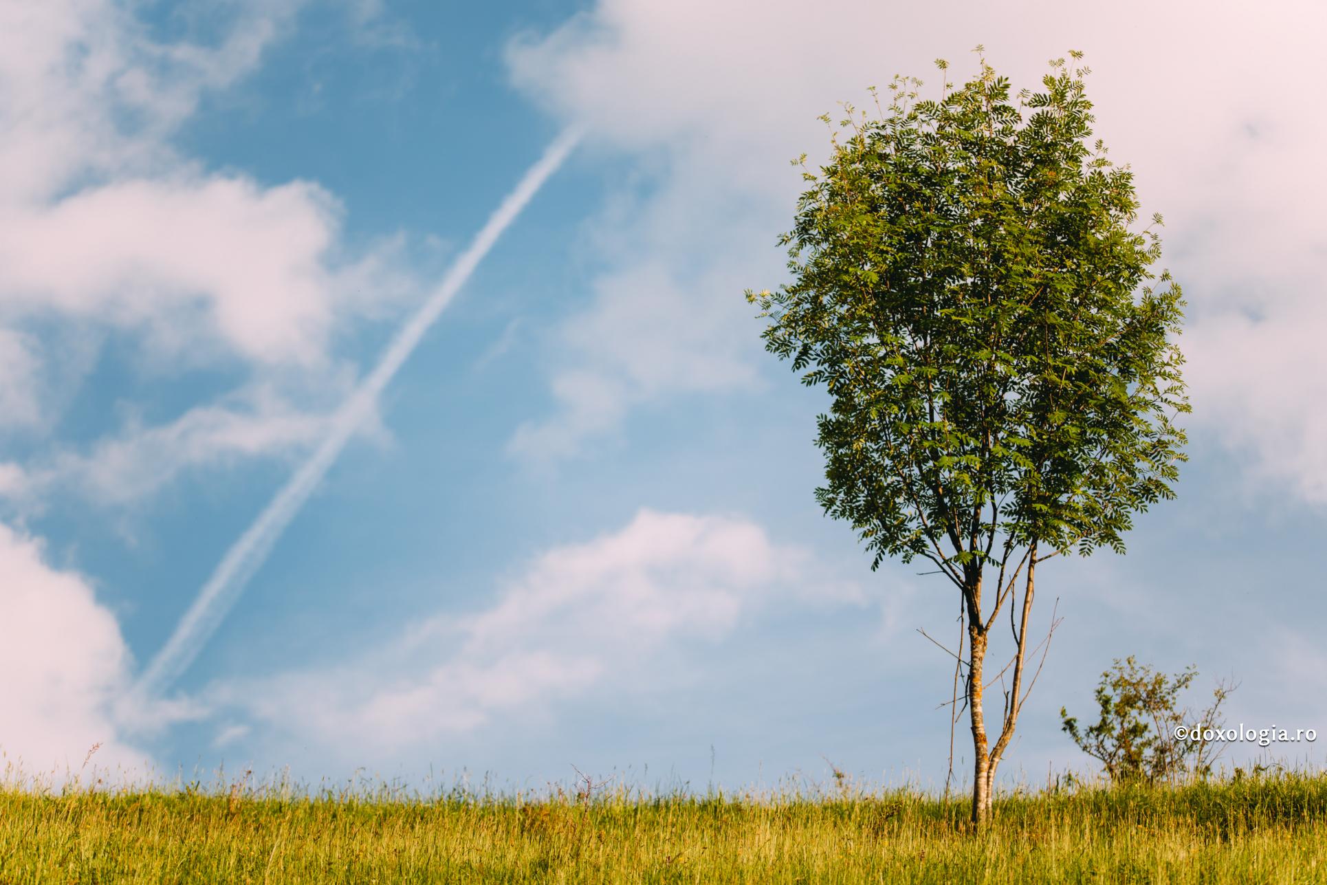 Omul smerit nu cade niciodată