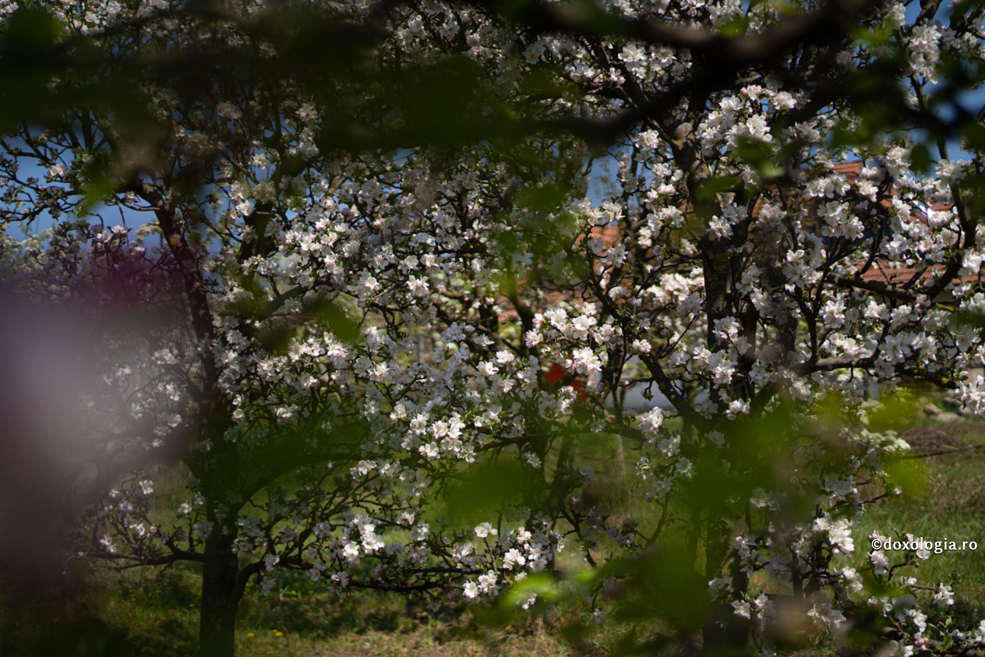 Dumnezeu este în toate și în afară de toate