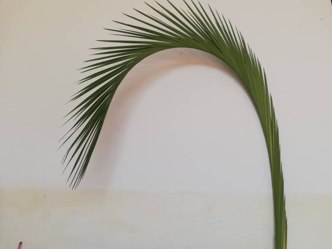 Jumapili ya Matawi sau Duminica Floriilor a fost prilej de mare bucurie şi la Centrul Misionar din Kidamali