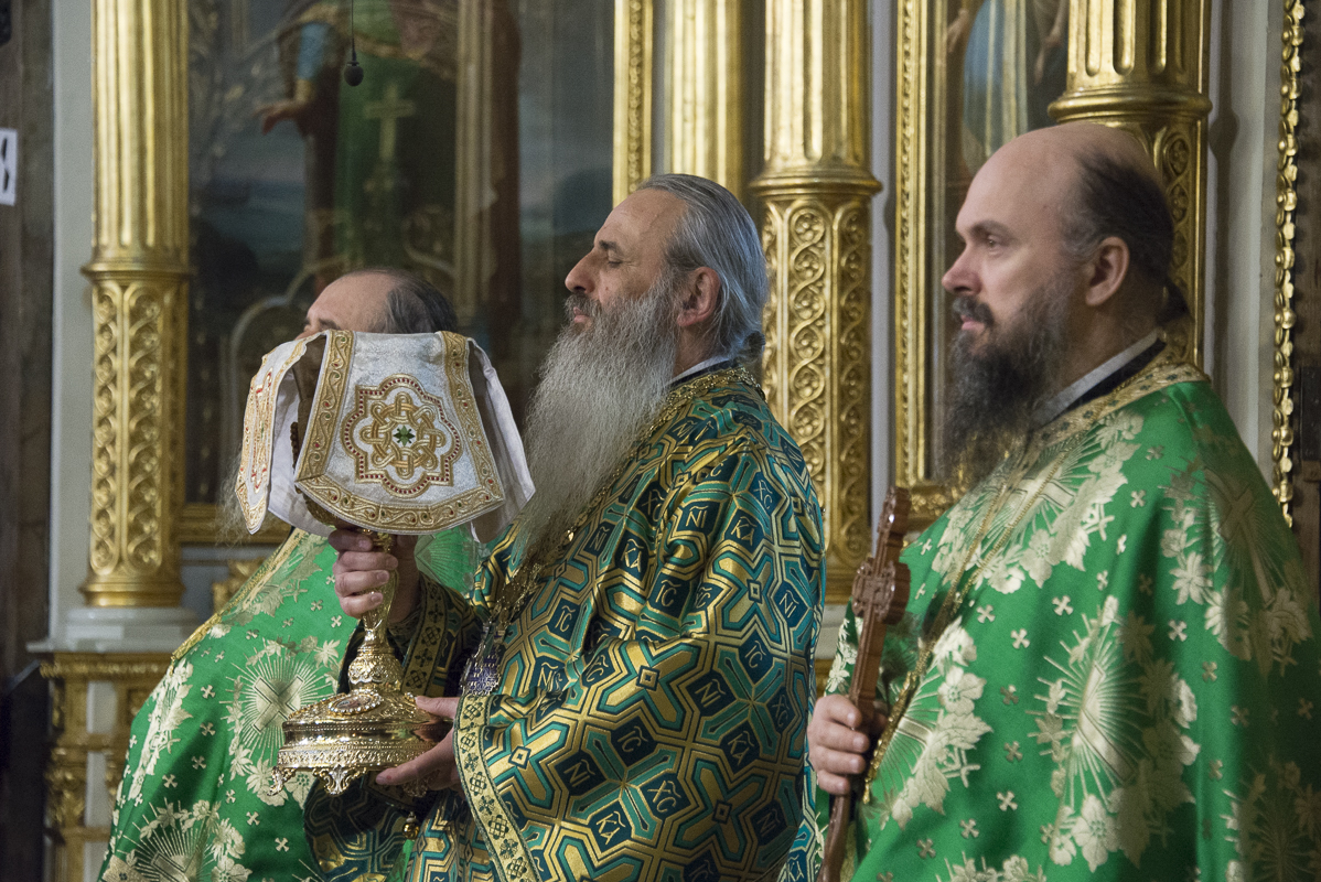 IPS Mitropolit Teofan, la slujba Floriilor: „O parte din noi se bucură, o parte din noi se cutremură”