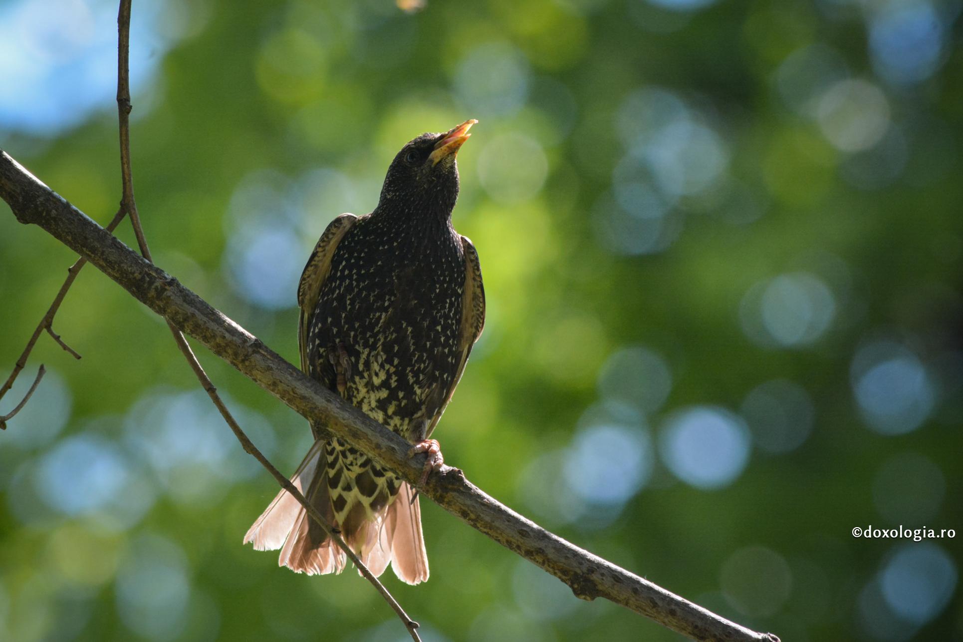 Noi ce punem la temelie?