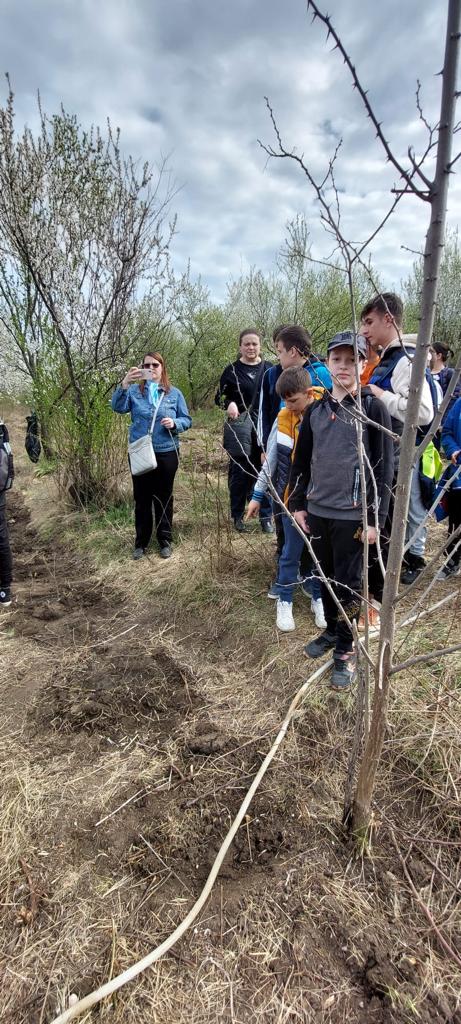 „Sădește un pom, Educă un om!”: 1.200 puieți plantați zilele trecute de Ocolul Silvic Cetățuia