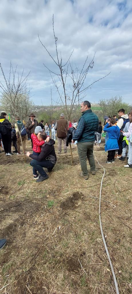 „Sădește un pom, Educă un om!”: 1.200 puieți plantați zilele trecute de Ocolul Silvic Cetățuia