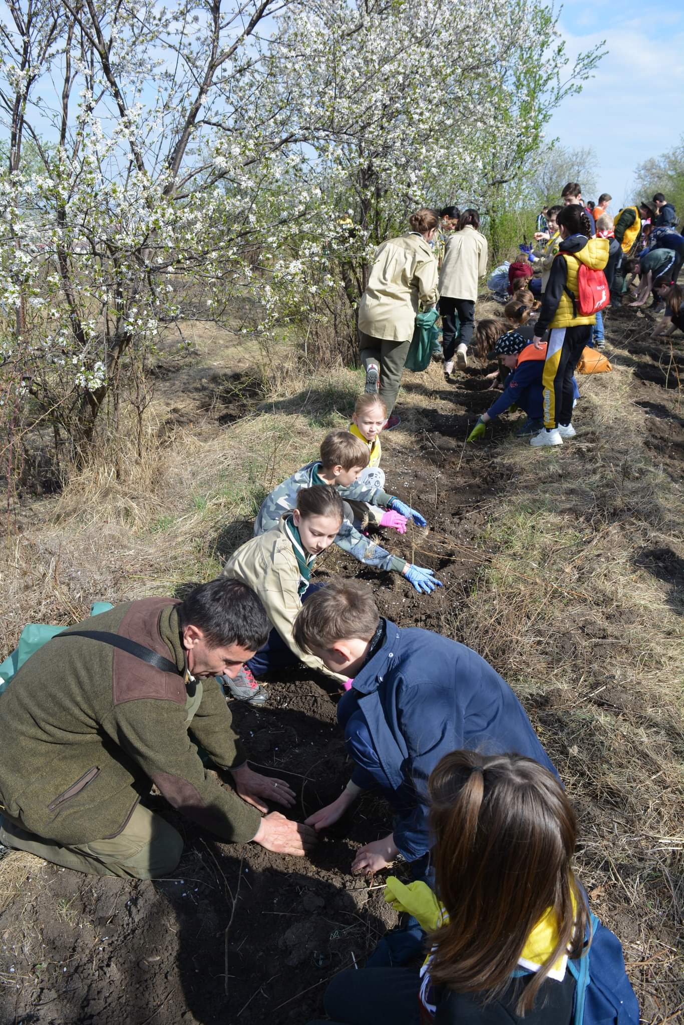 „Sădește un pom, Educă un om!”: 1.200 puieți plantați zilele trecute de Ocolul Silvic Cetățuia