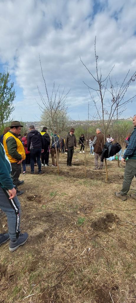 „Sădește un pom, Educă un om!”: 1.200 puieți plantați zilele trecute de Ocolul Silvic Cetățuia