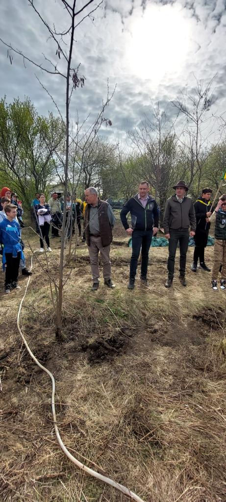 „Sădește un pom, Educă un om!”: 1.200 puieți plantați zilele trecute de Ocolul Silvic Cetățuia