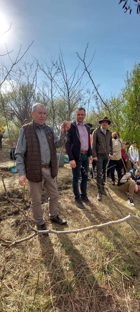 „Sădește un pom, Educă un om!”: 1.200 puieți plantați zilele trecute de Ocolul Silvic Cetățuia