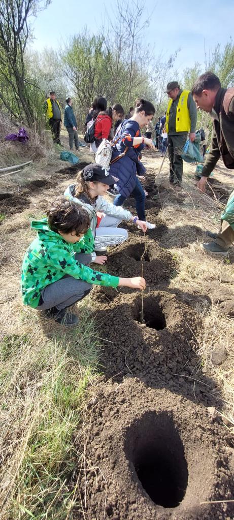 „Sădește un pom, Educă un om!”: 1.200 puieți plantați zilele trecute de Ocolul Silvic Cetățuia