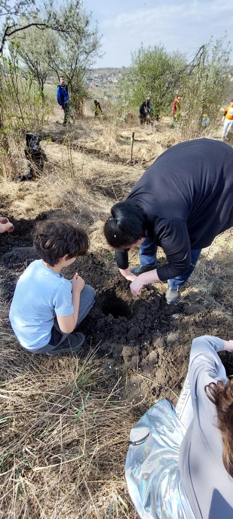 „Sădește un pom, Educă un om!”: 1.200 puieți plantați zilele trecute de Ocolul Silvic Cetățuia