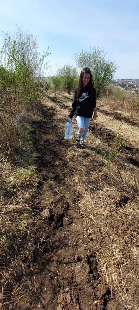 „Sădește un pom, Educă un om!”: 1.200 puieți plantați zilele trecute de Ocolul Silvic Cetățuia