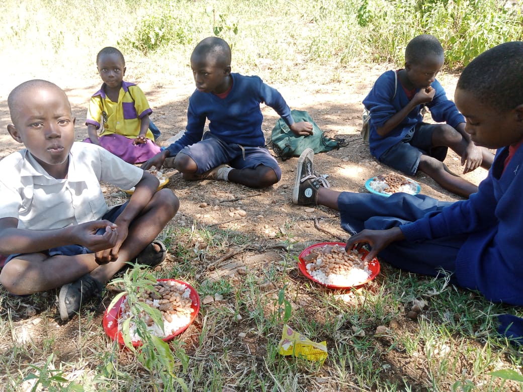 Ocrotitoarea parohiilor din Nyamahana şi Makota, Maica Domnului - Izvorul Tămăduirii Ocrotitoarea parohiilor din Nyamahana şi Makota, Maica Domnului - Izvorul Tămăduirii