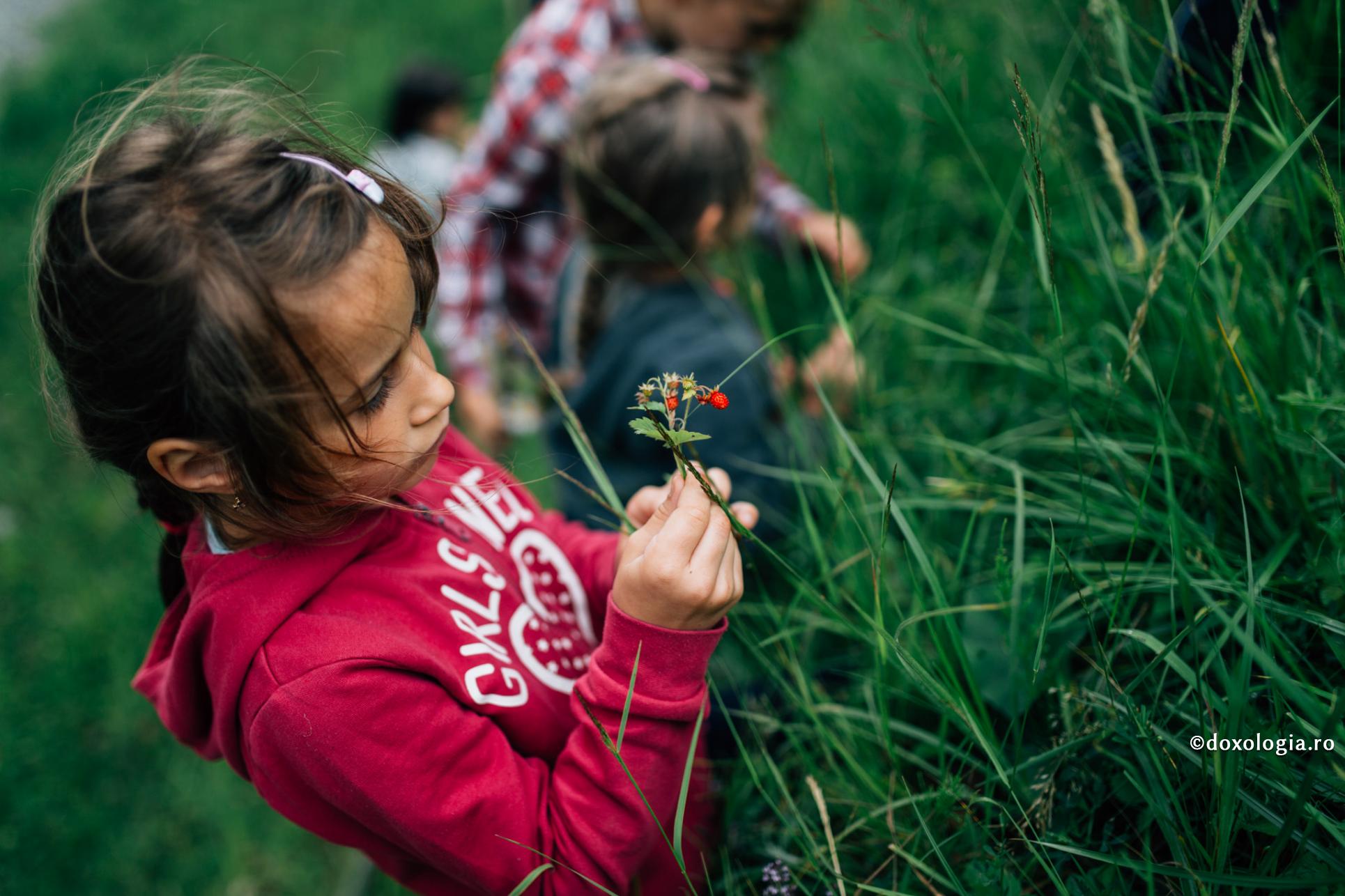 fetiță cu fragi în mână