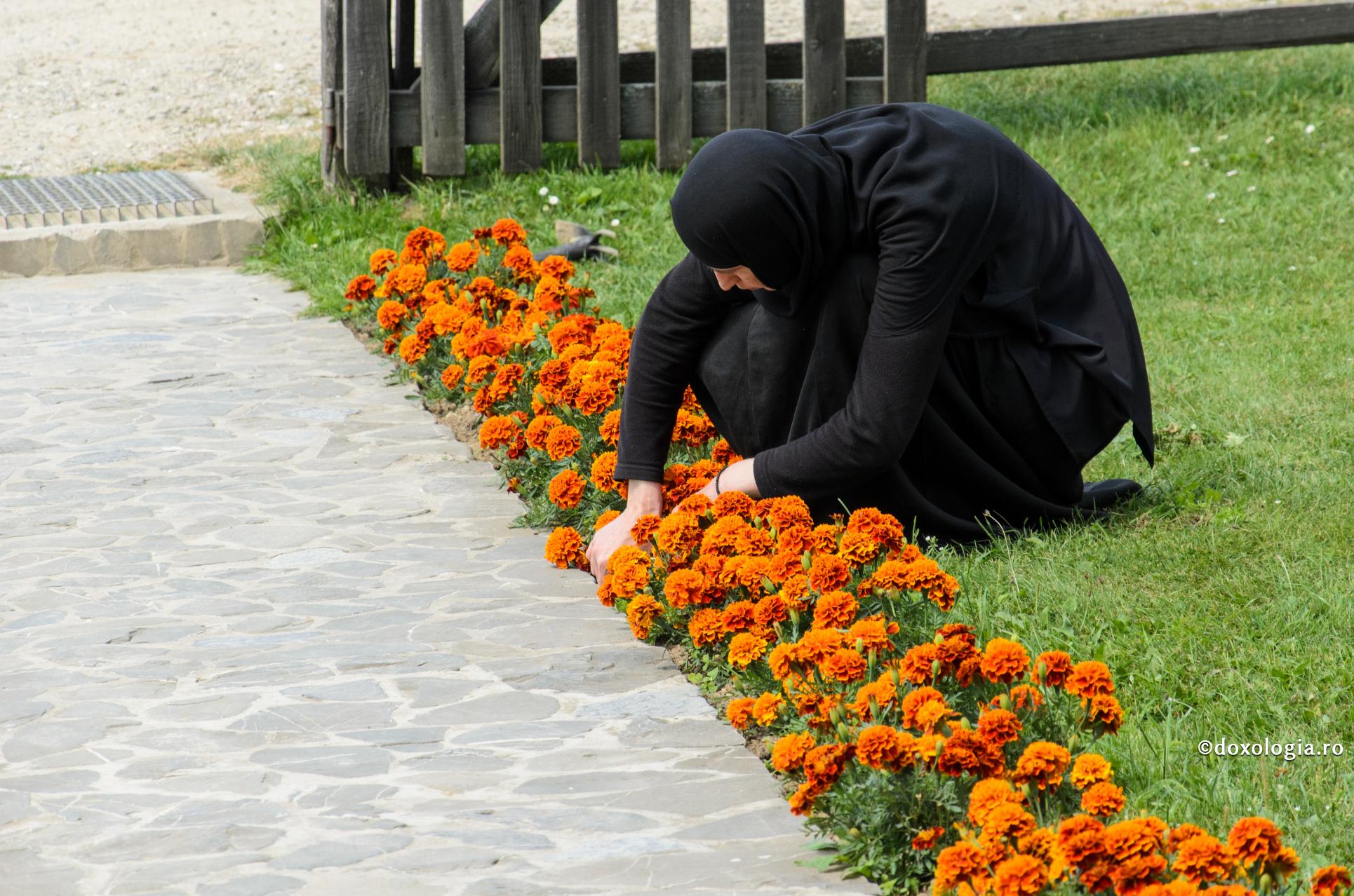Când lucrăm virtuțile, deseori amestecăm cu dânsele în mod inconștient și făptuirea unor patimi