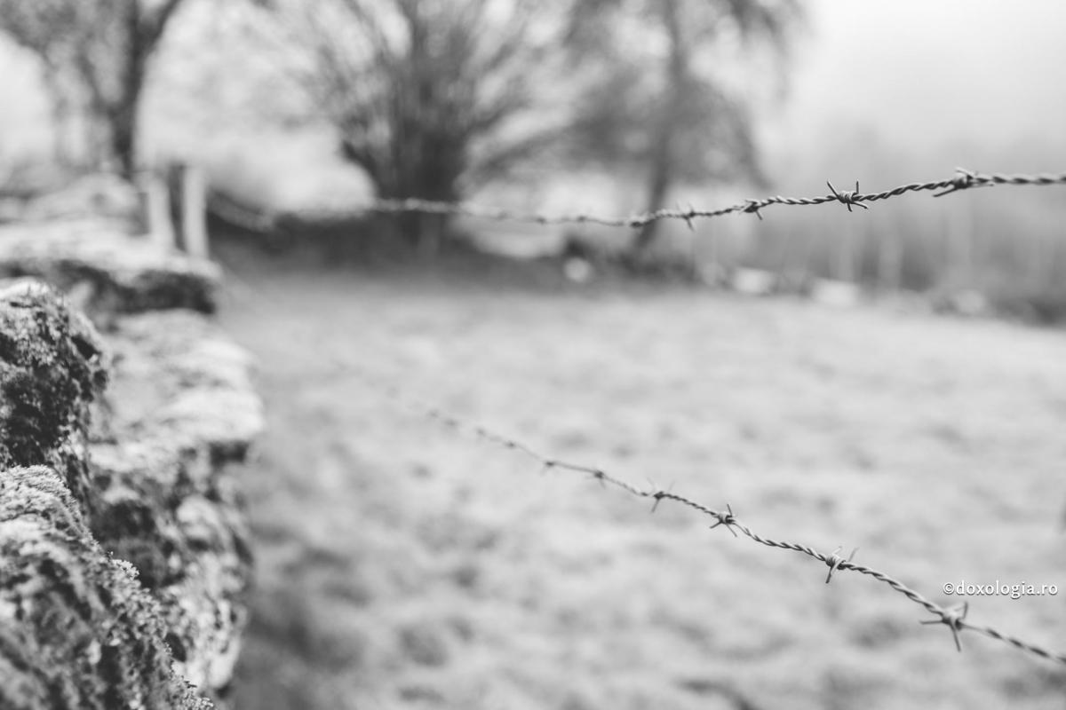 Dumnezeu și suferința: Câteva reflecții despre problema teodiceei