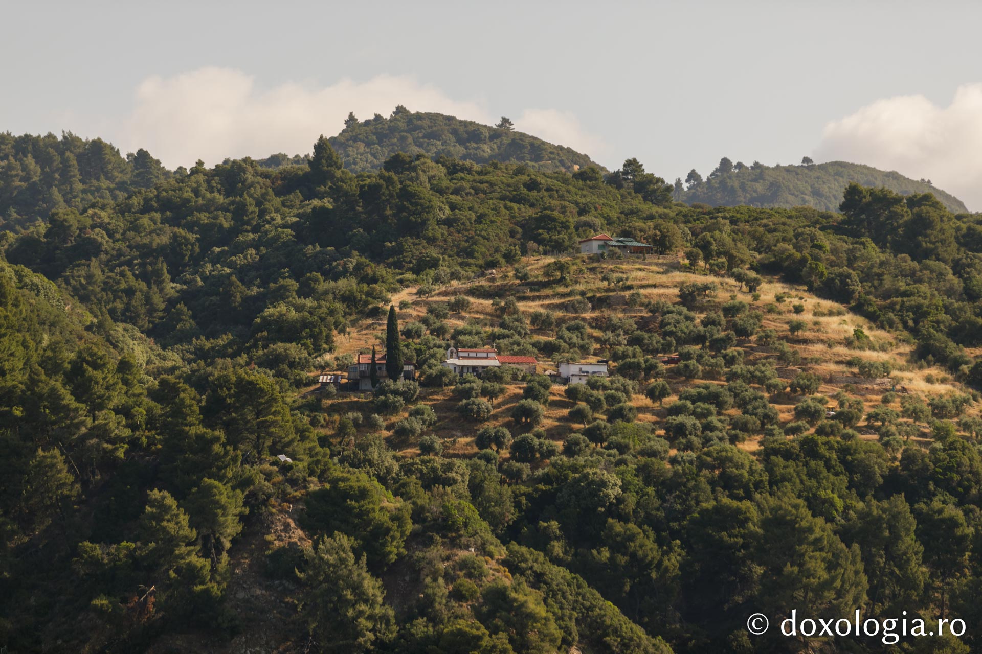 Coliba „Sfântul Atanasie Athonitul” – Iovanița, Athos