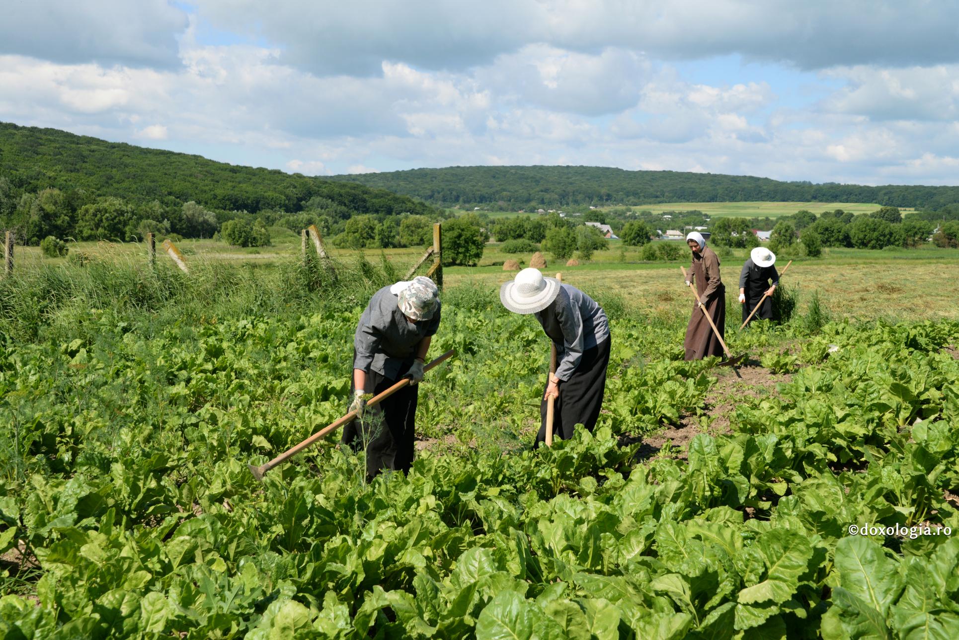 Iubirea e calea cea mai scurtă spre desăvârșire