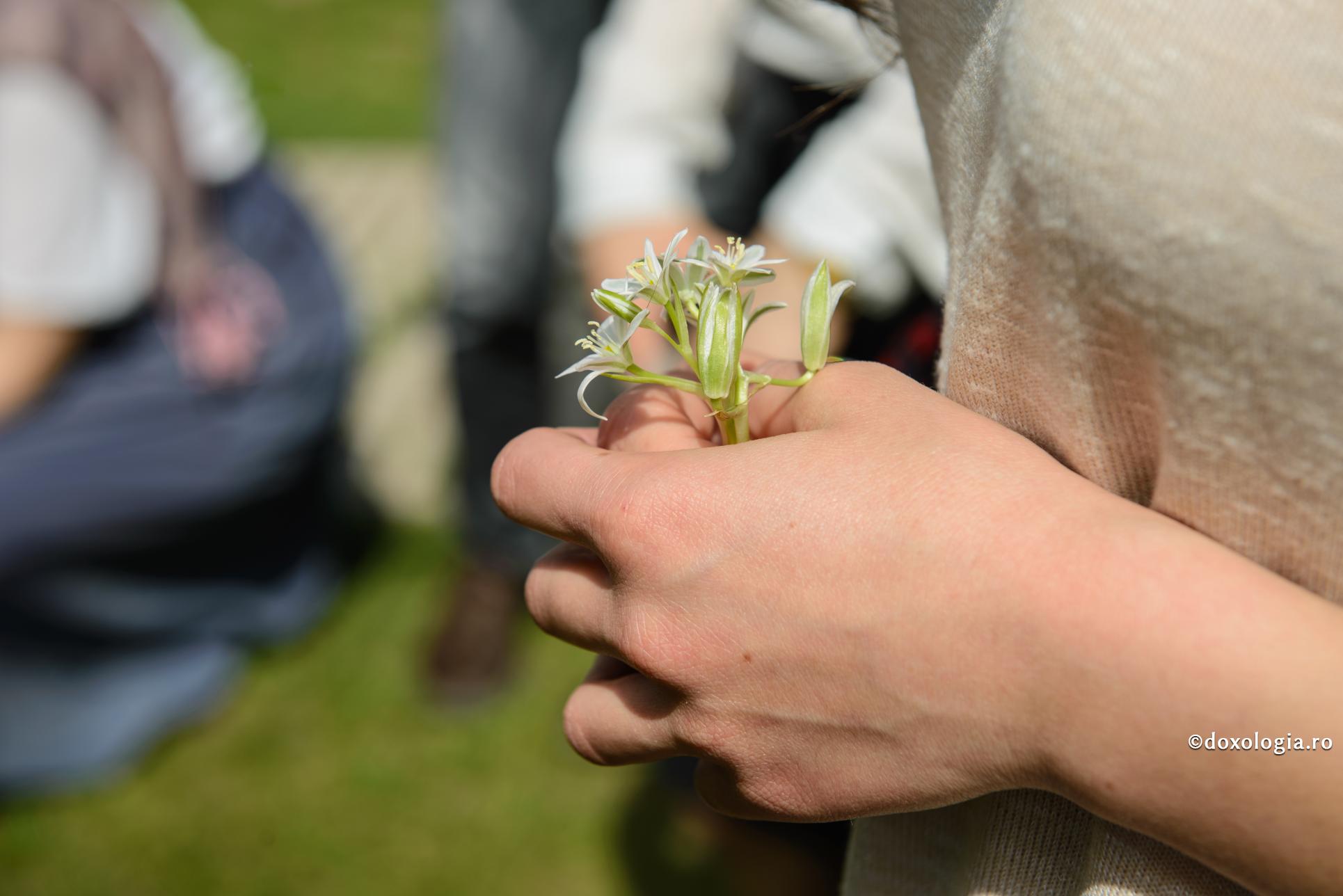 Cugetele rele permanentizează boala. Dimpotrivă, iertarea o alungă