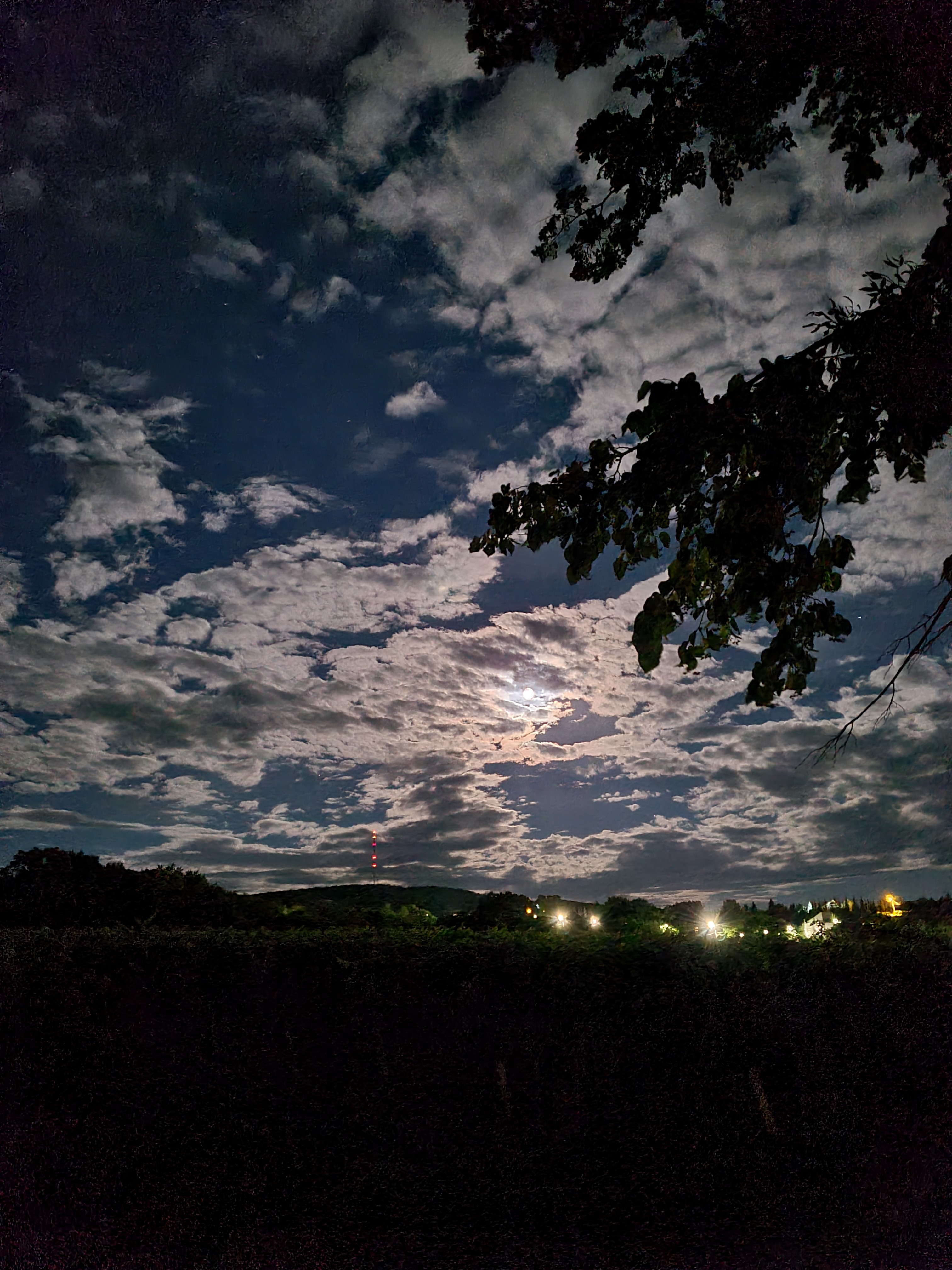 Priveghere de toată noaptea la Mănăstirea Bucium din Iași, în fața icoanei Maicii Domnului Prodromița