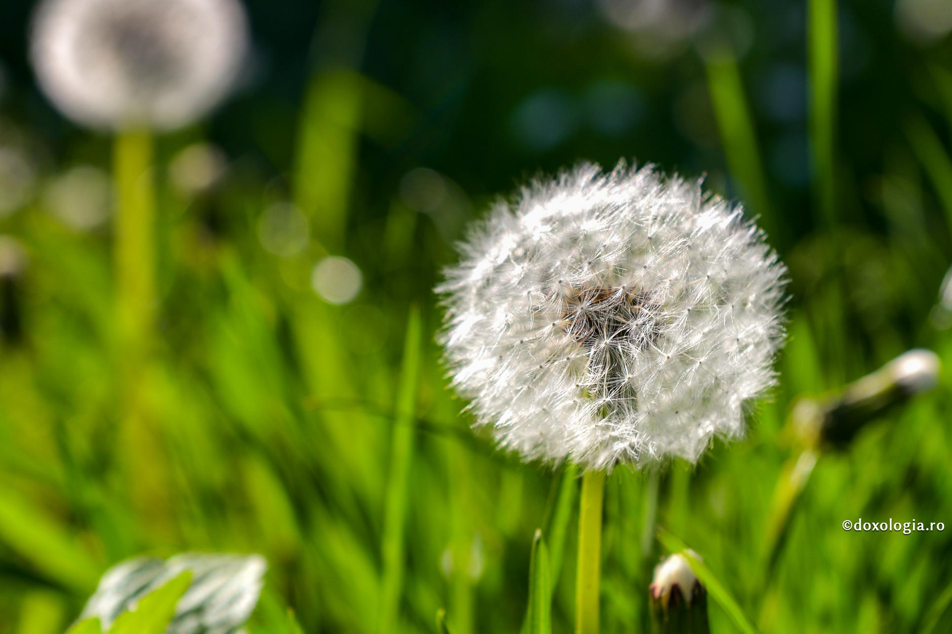 Griji lumești și griji cerești