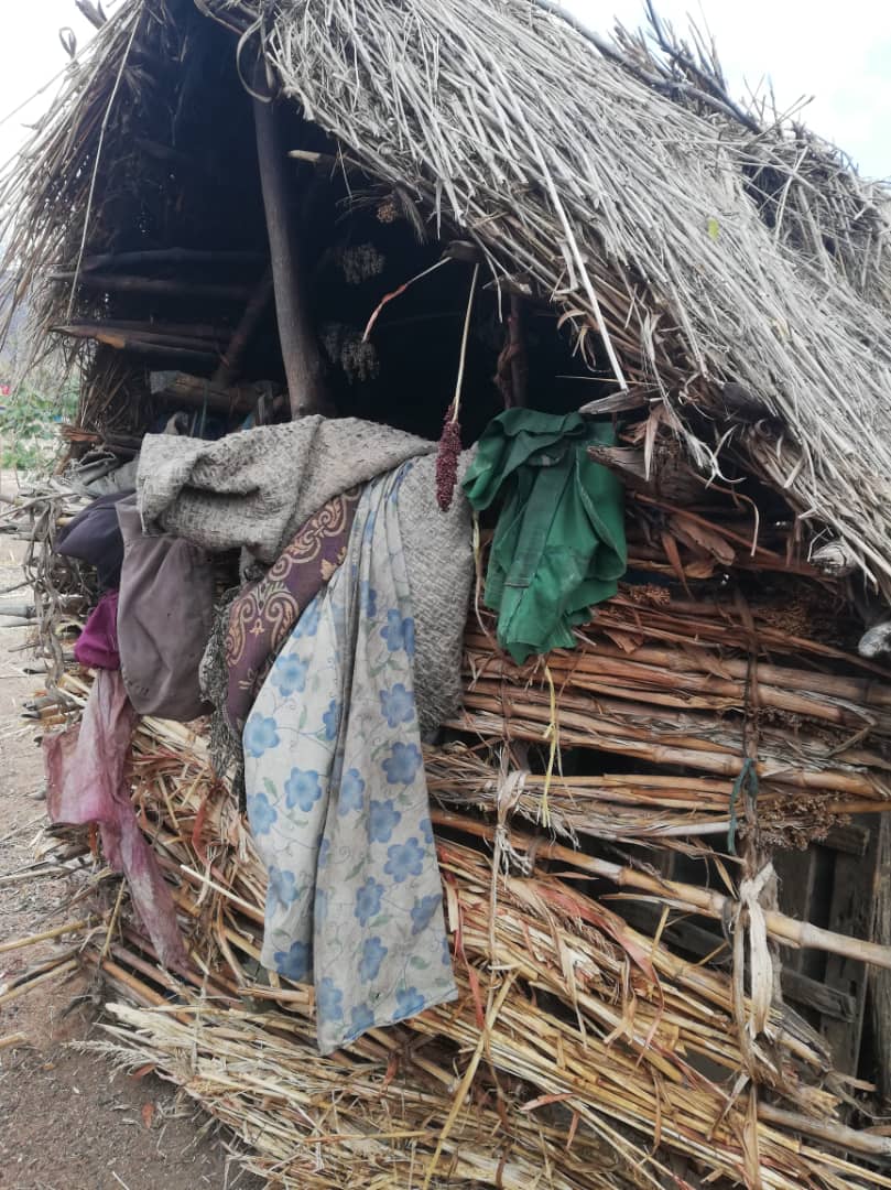 O casă nouă - o minune pentru un bunic și nepotul său