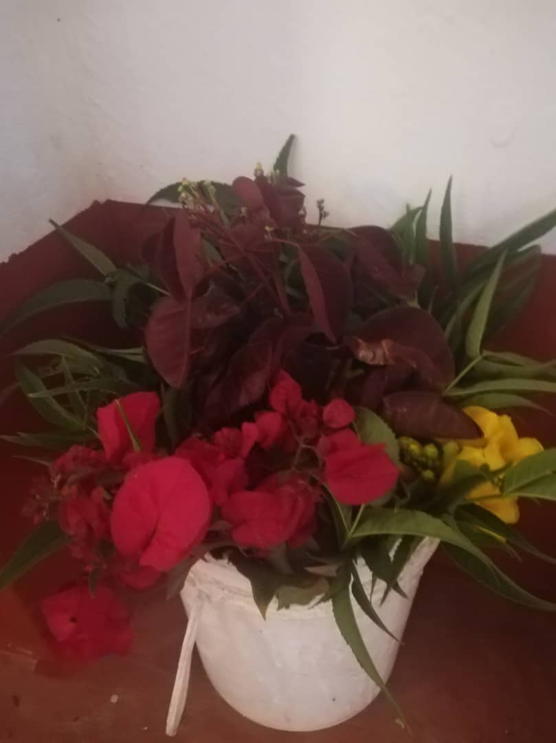 Hram la Ilalasimba - „Acolo unde leul doarme”