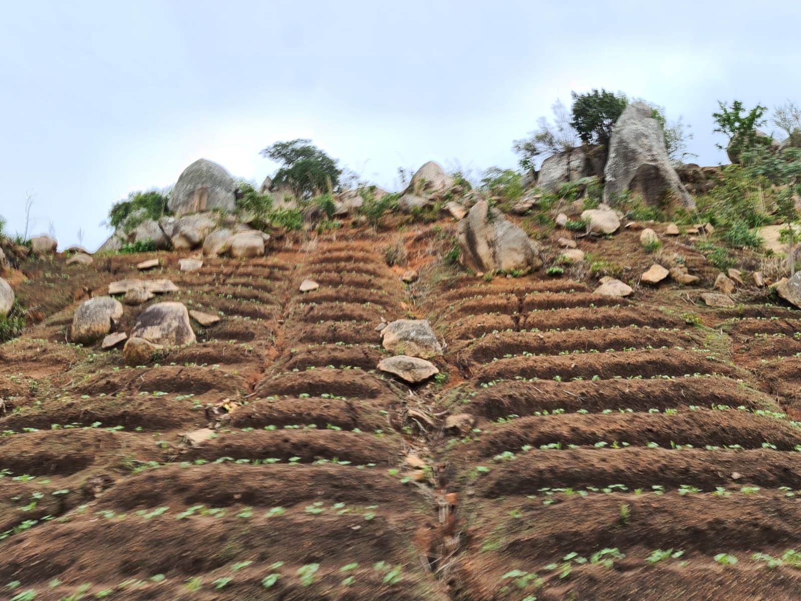 Muntele Igangidungu - Taborul nostru