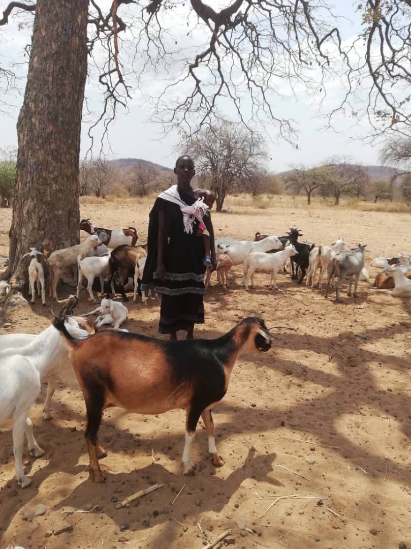 Despre capre ca despre mici comori