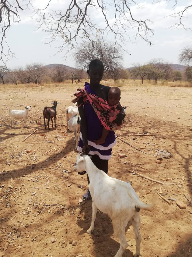 Despre capre ca despre mici comori