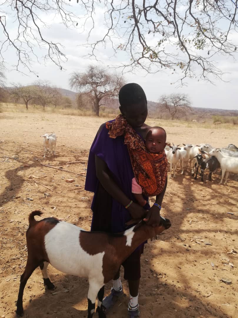 Despre capre ca despre mici comori