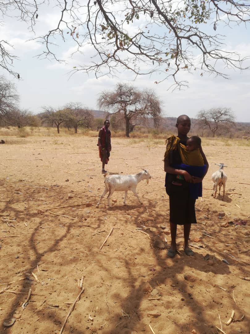 Despre capre ca despre mici comori