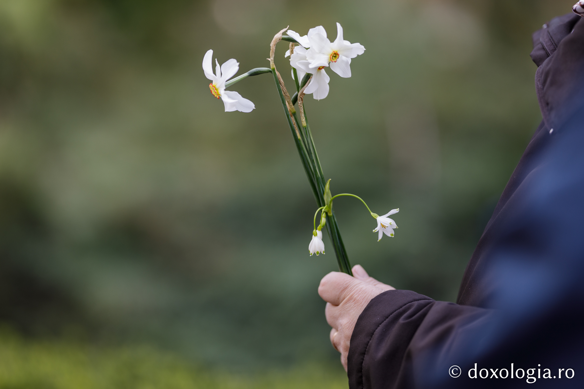 Gheron Iosif Vatopedinul: „Acolo unde este dragoste, nu se gândește răul”