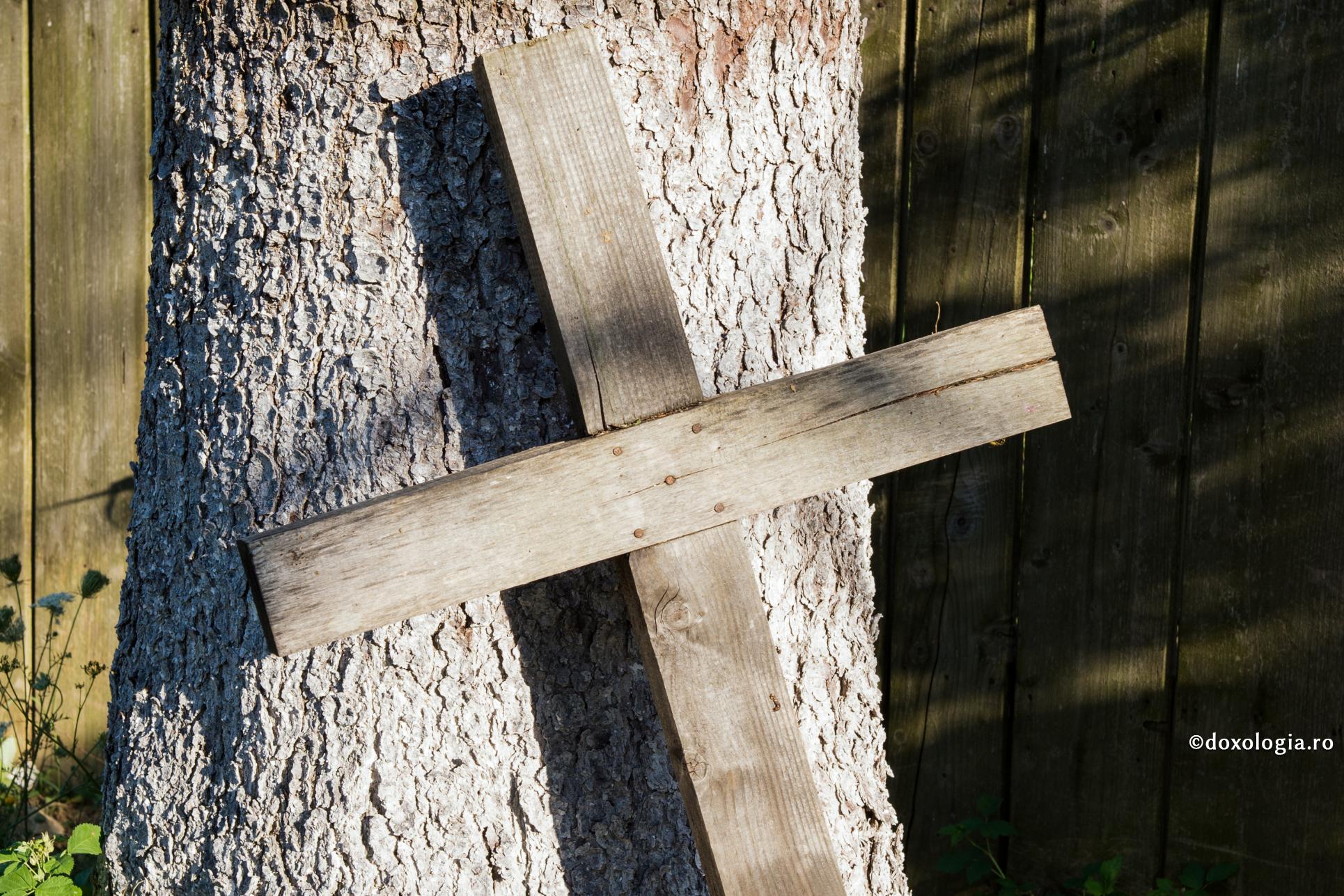 Canon de rugăciune către Sfântul Ierarh Vasile Mărturisitorul, Episcop de Parion