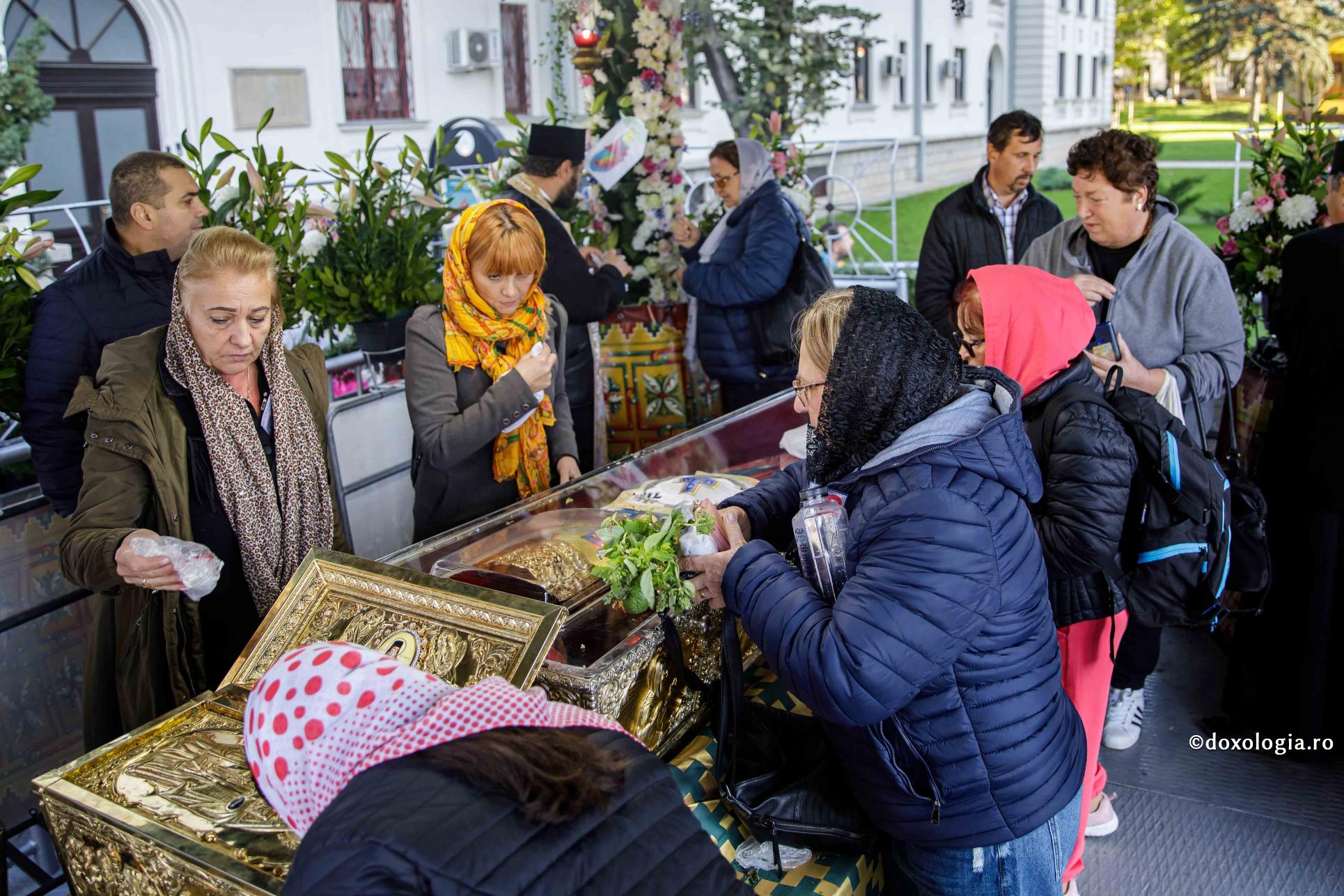 „Ce ați ieșit să vedeți?”