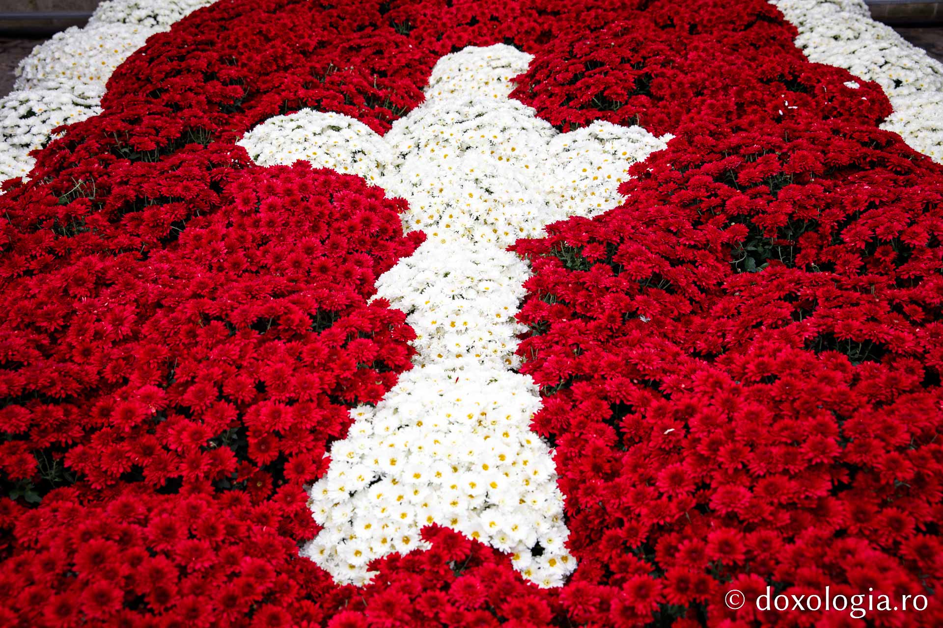 (Foto) Veșmânt de flori pentru slujba din ziua Sfintei Parascheva