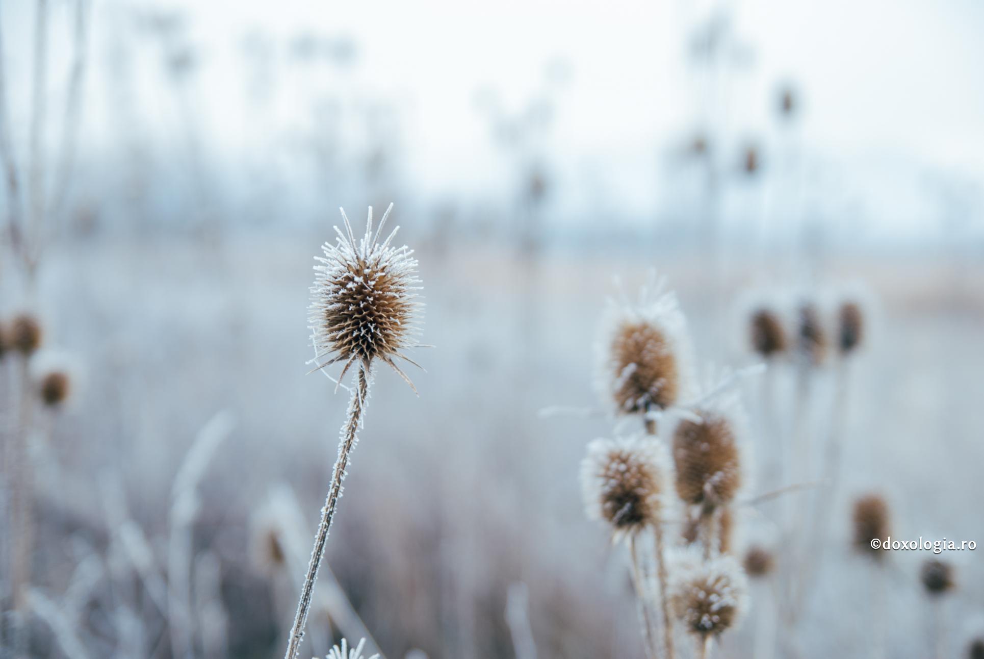 Răul se pedepsește prin sine însuși