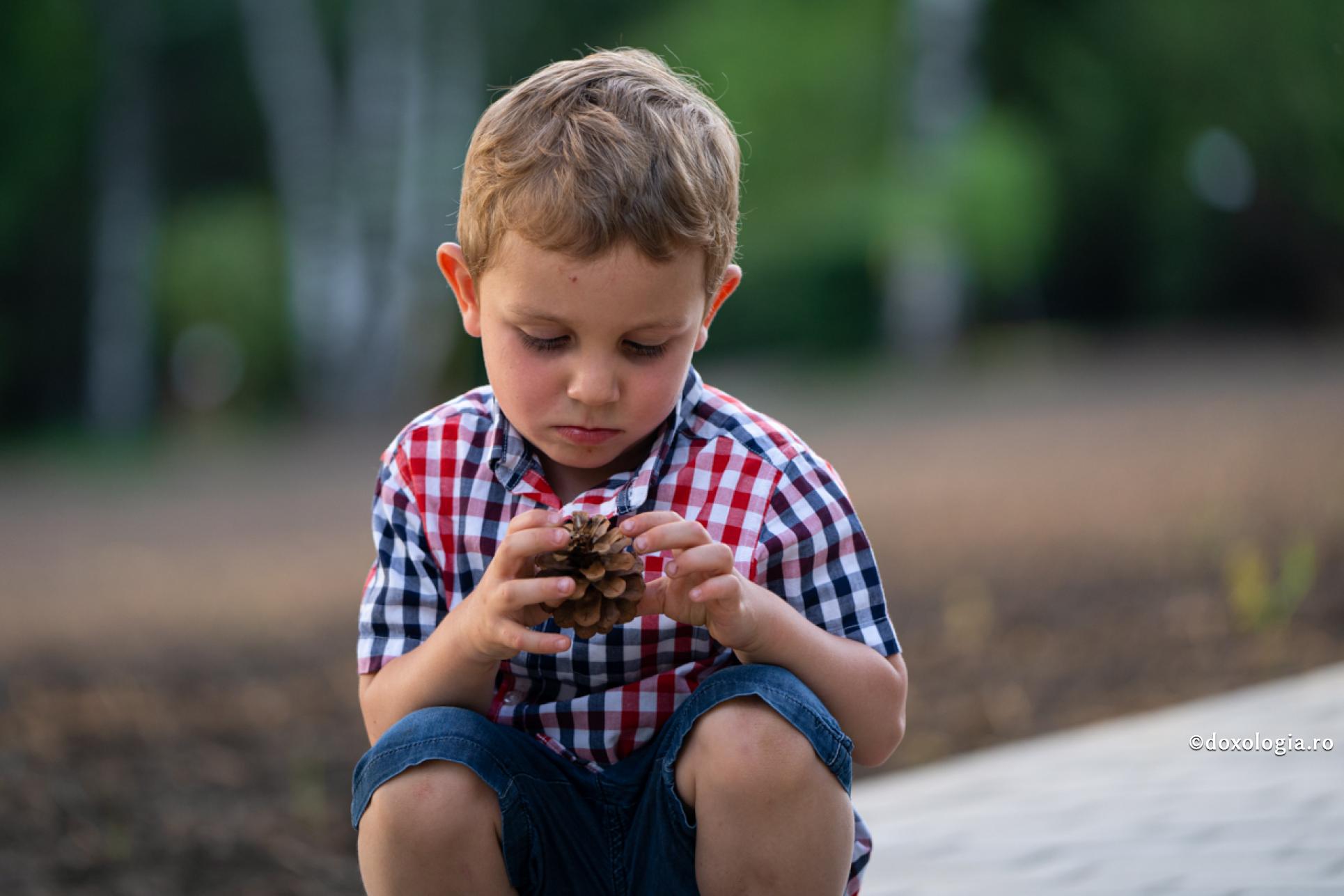 copil privind un con de brad