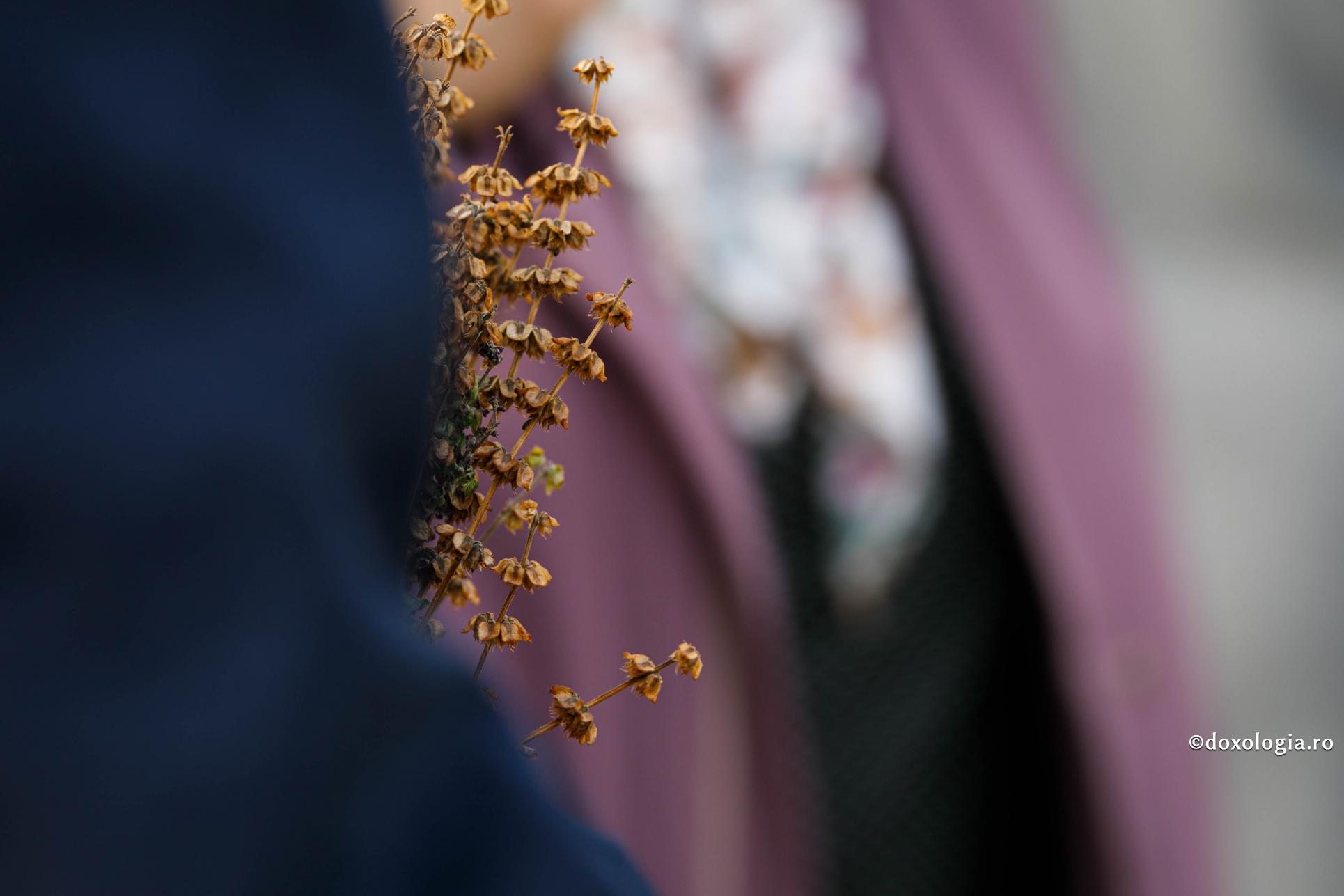 Prin credință, mintea se trezește la lucrarea duhovnicească