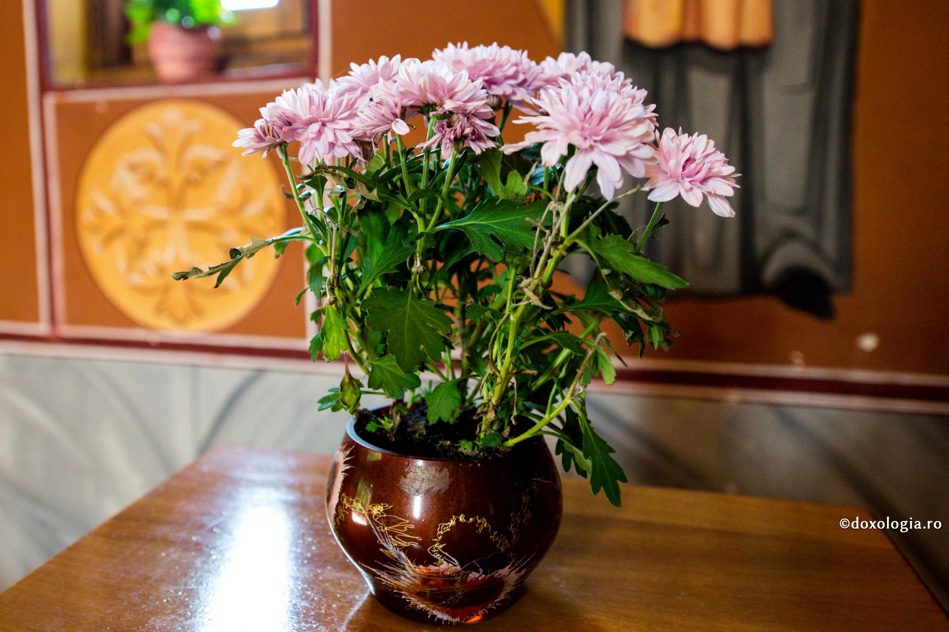 Aceasta este metoda ortodoxă a însănătoșirii