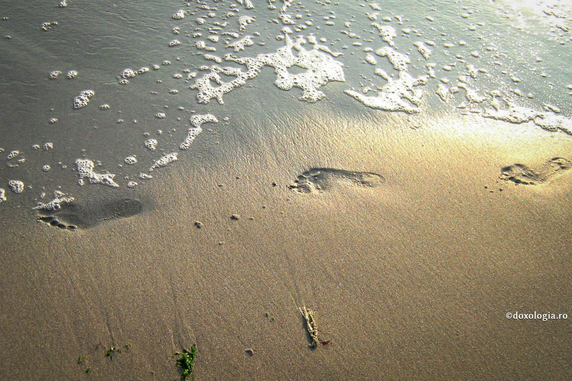 Nu este cu putință ca cel care străbate marea vieții să nu fie udat de apele ei