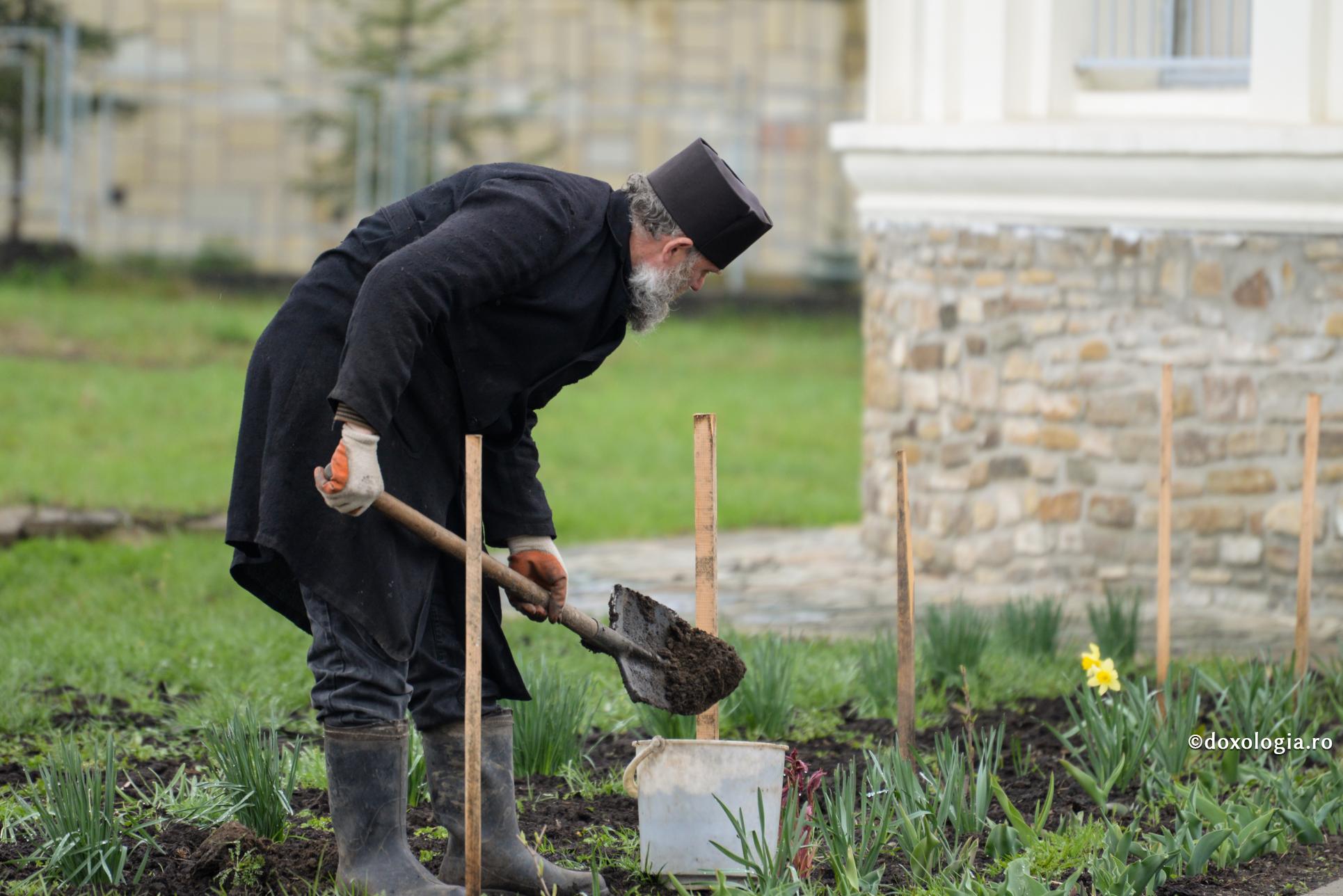 Toate virtuțile și toate patimile se cultivă