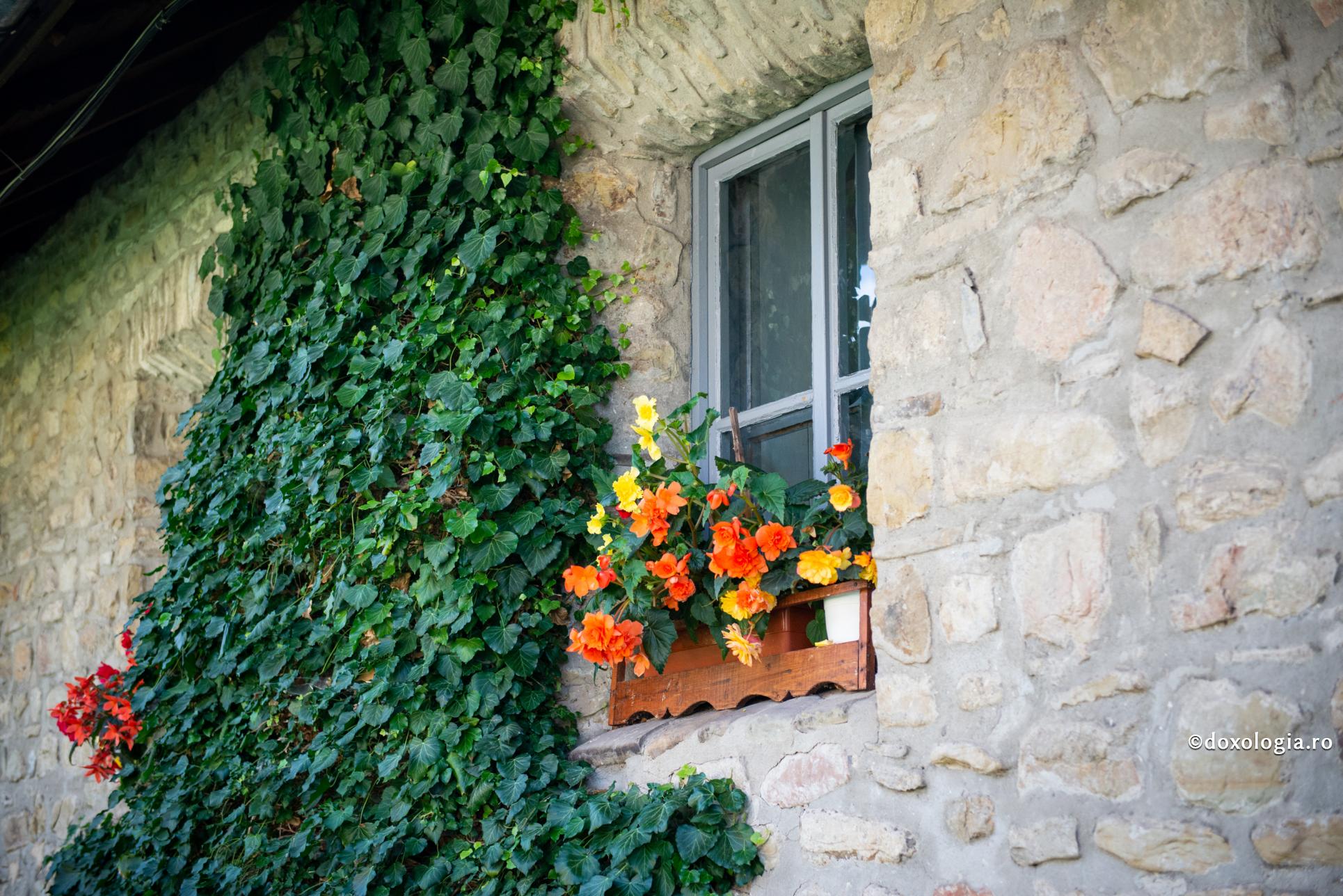 Cum ne înșală diavolul în lupta cu patimile