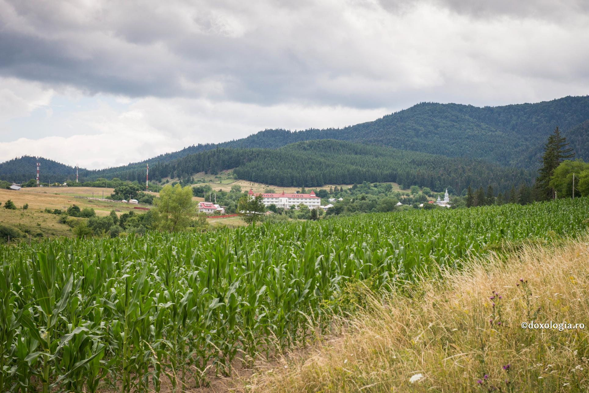 Nu postim numai de bucate, ci trebuie să postim și de păcate