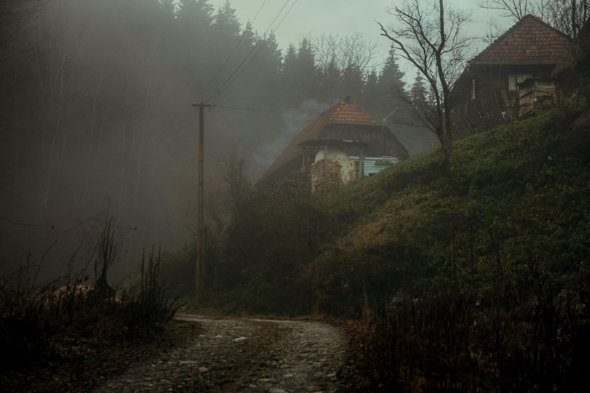 Colind și întâlnire de taină cu nepotul unui pustnic: „Dormiți aici, eu mă pot odihni afară. Vă las în așternutul meu”